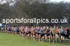Senior Men, 2024 CAU Inter Counties Cross Country Champs., Wollaton Park, Nottingham. Photo: David T. Hewitson/Sports for All Pics